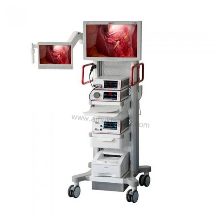 Laparoscopy System Monitor (L - 01)